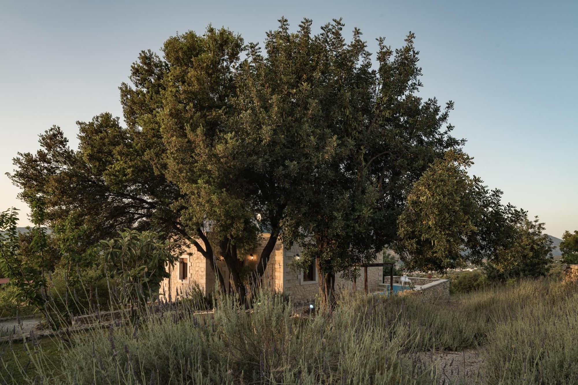 Koules Estate, With Private Pools & Bbq - Embracing Nature, By Thinkvilla Argouli Chambre photo